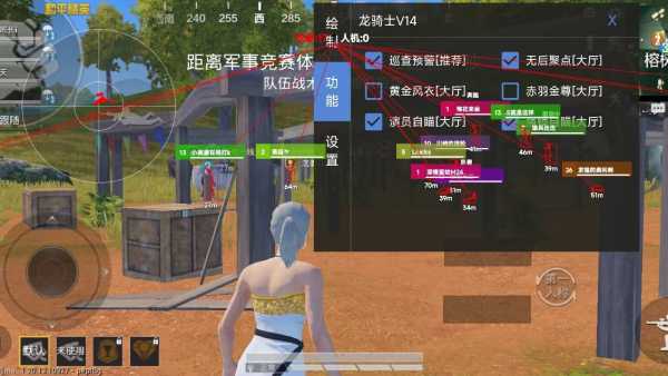 突破游戏界限:探索和平精英辅助工具的神秘世